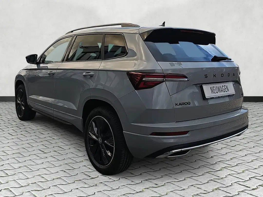 Skoda Karoq - Thumbnail 6