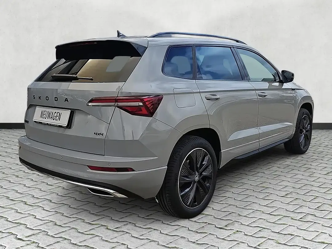 Skoda Karoq - Thumbnail 8