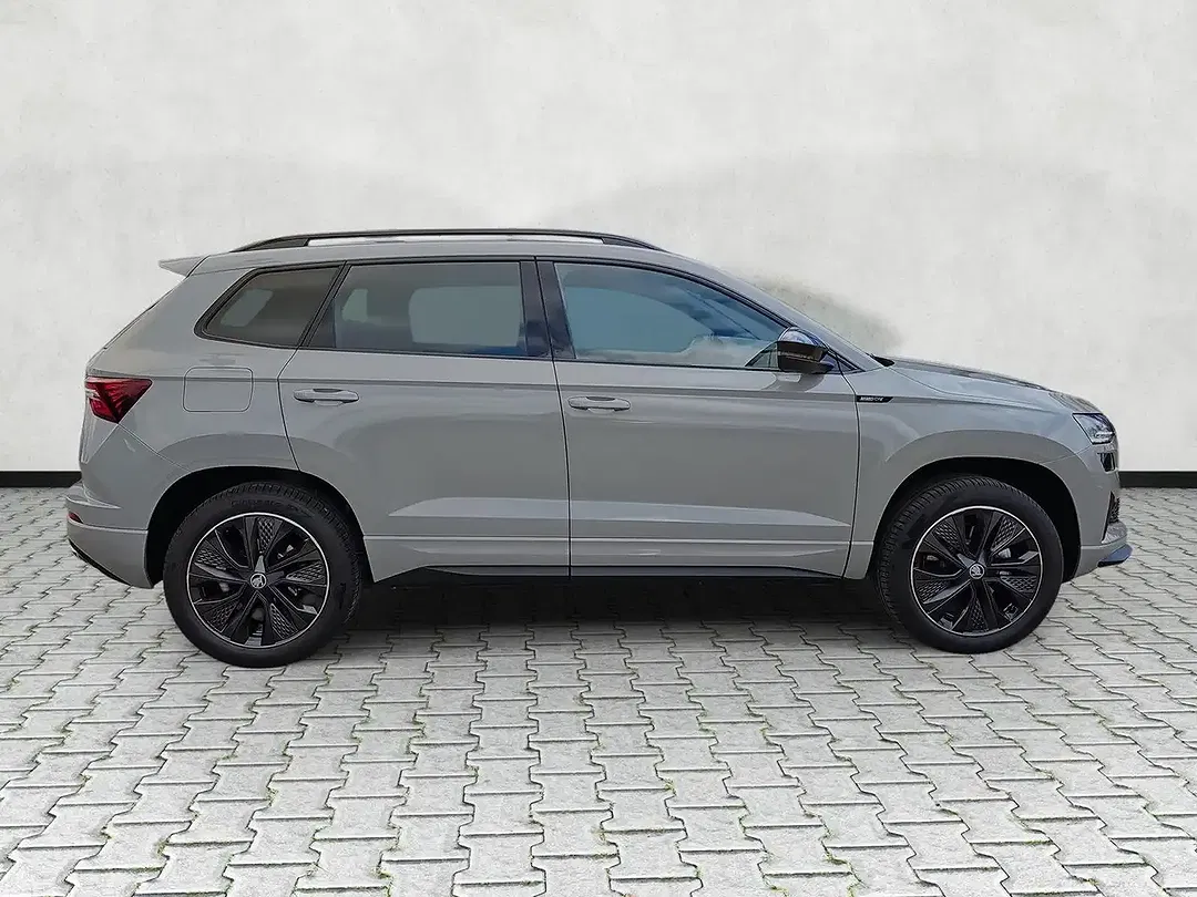 Skoda Karoq - Thumbnail 9