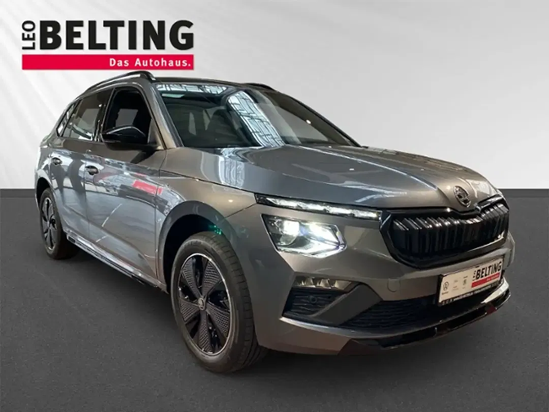 Skoda Kamiq - Thumbnail 2