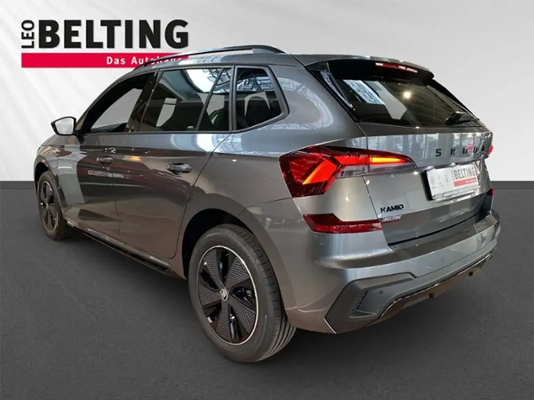 Skoda Kamiq - Thumbnail 4