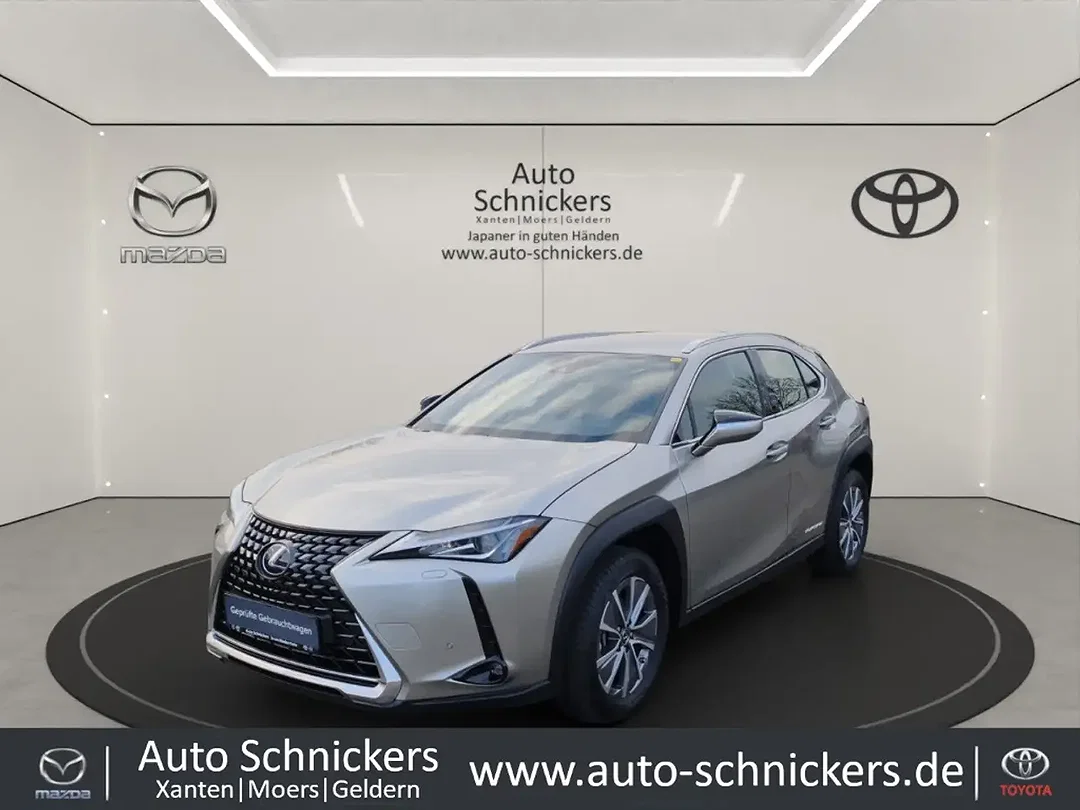 Lexus UX 300e - Afbeelding 1