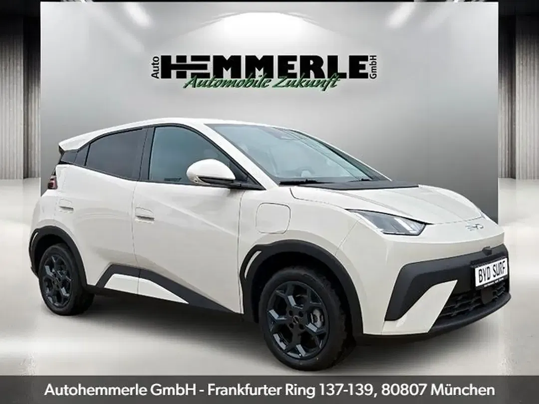 BYD Dolphin - Thumbnail 1