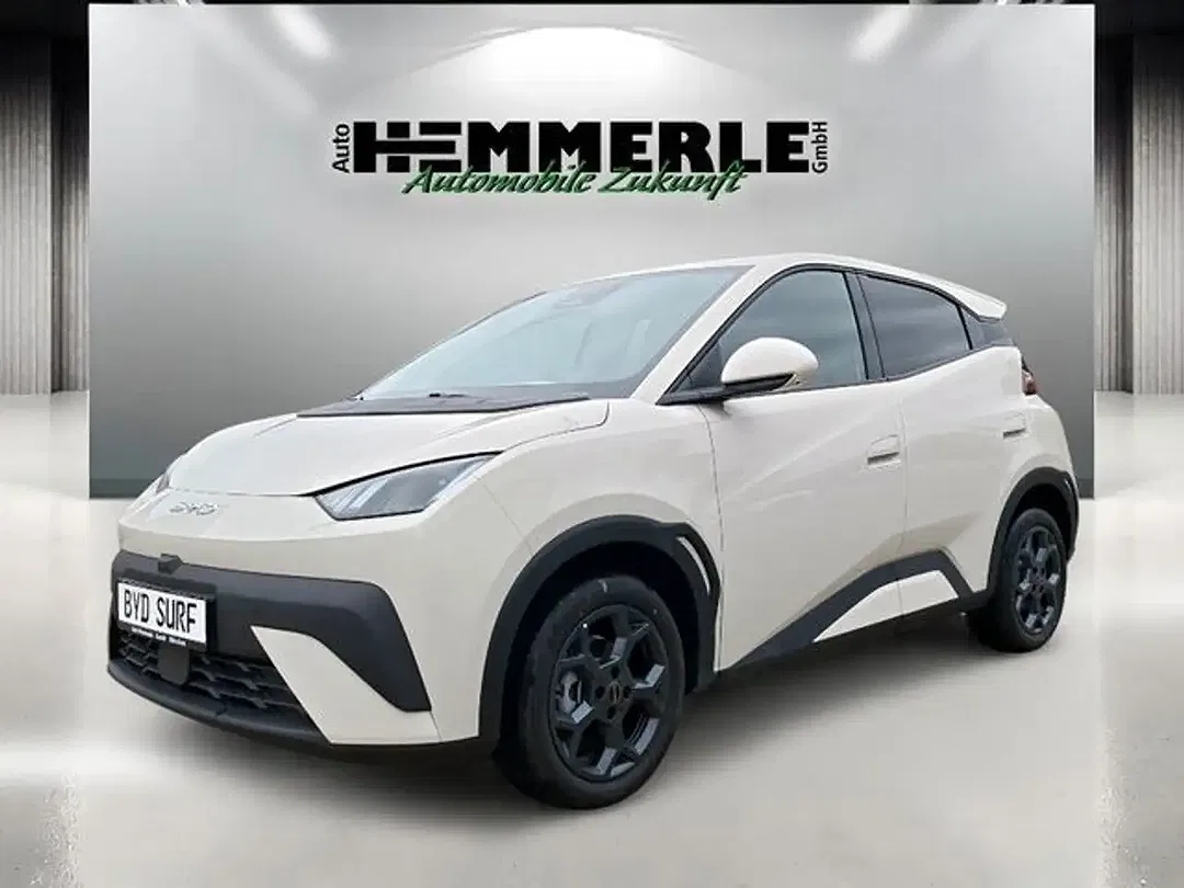BYD Dolphin - Thumbnail 2