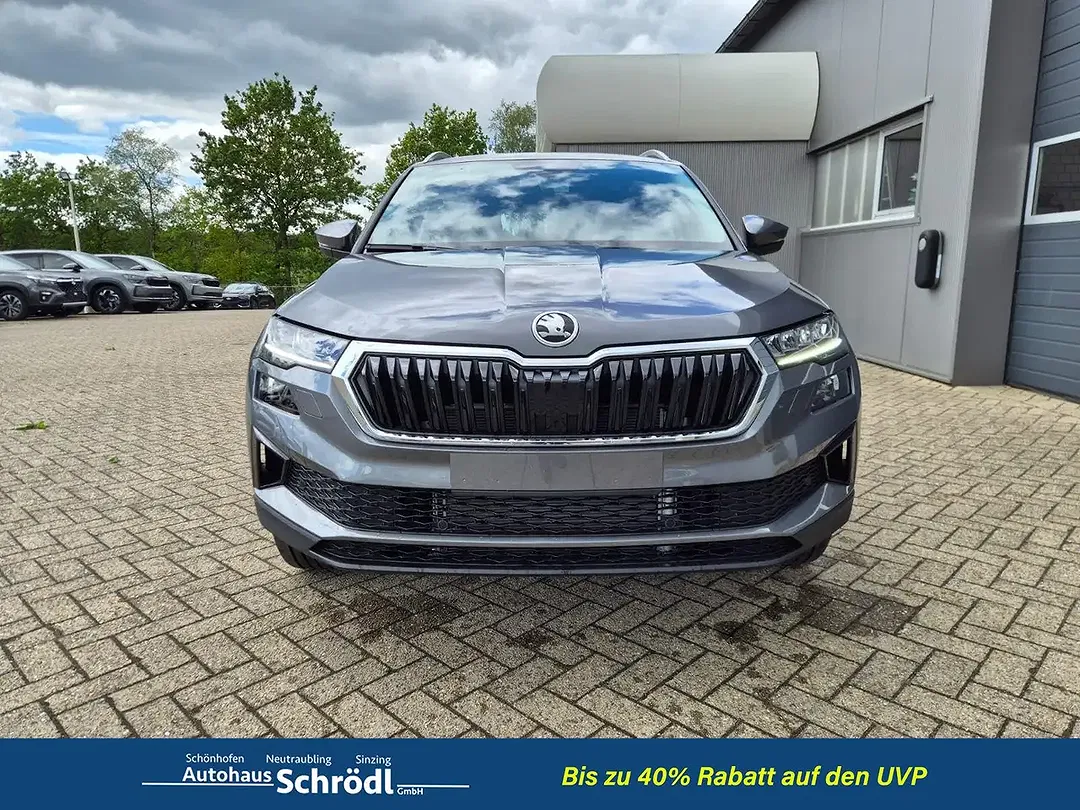 Skoda Karoq - Thumbnail 8