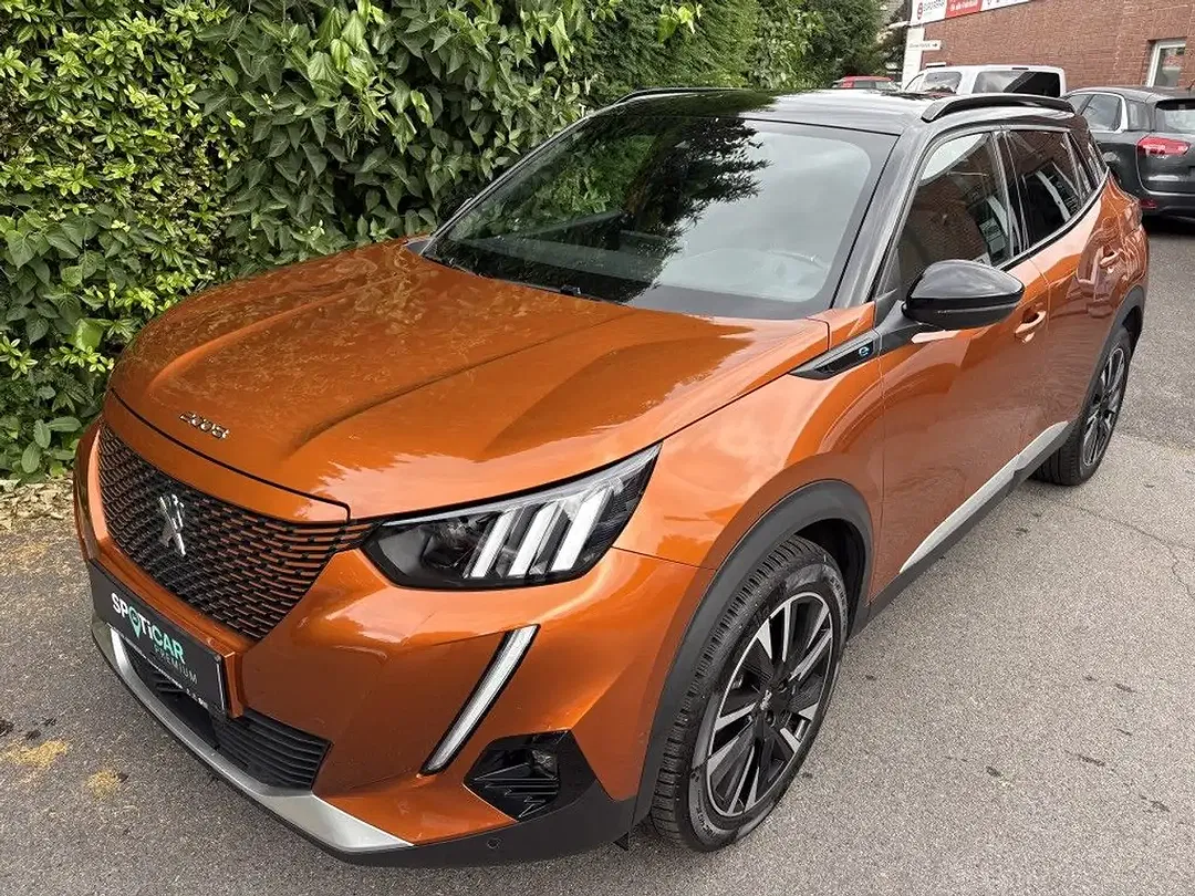 Peugeot 2008 - Thumbnail 1