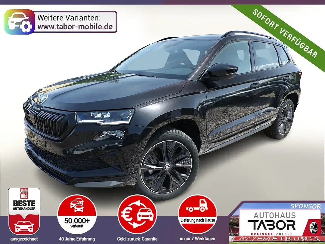 Skoda Karoq - Thumbnail 1