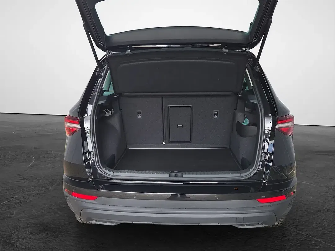 Skoda Karoq - Thumbnail 11