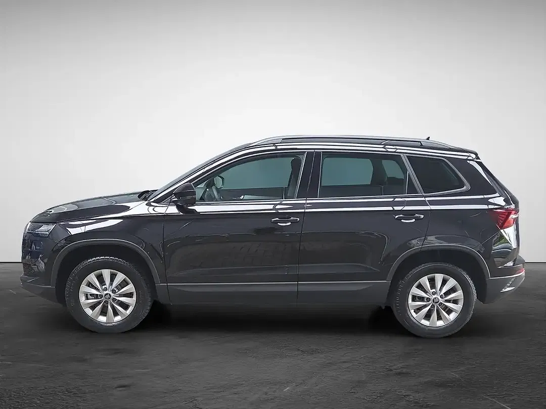 Skoda Karoq - Thumbnail 2