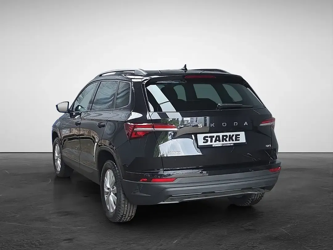 Skoda Karoq - Thumbnail 3