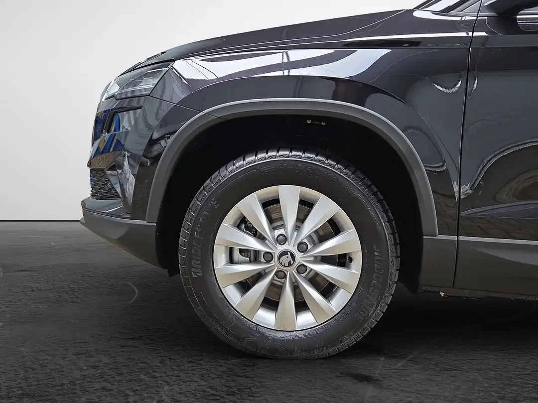 Skoda Karoq - Thumbnail 4