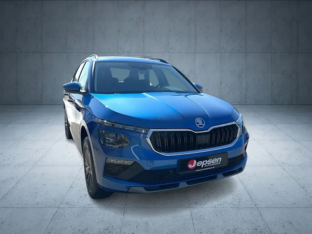 Skoda Kamiq - Thumbnail 8