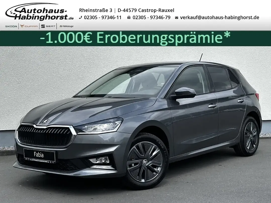 Skoda Fabia - Thumbnail 1