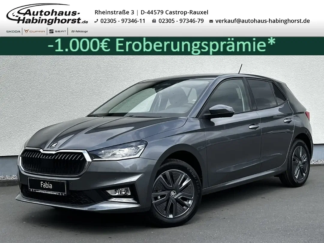 Skoda Fabia - Afbeelding 1