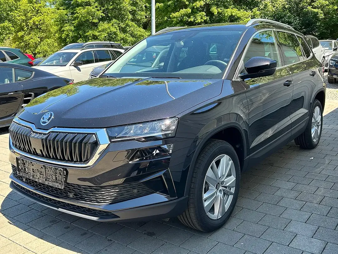 Skoda Karoq - Thumbnail 3