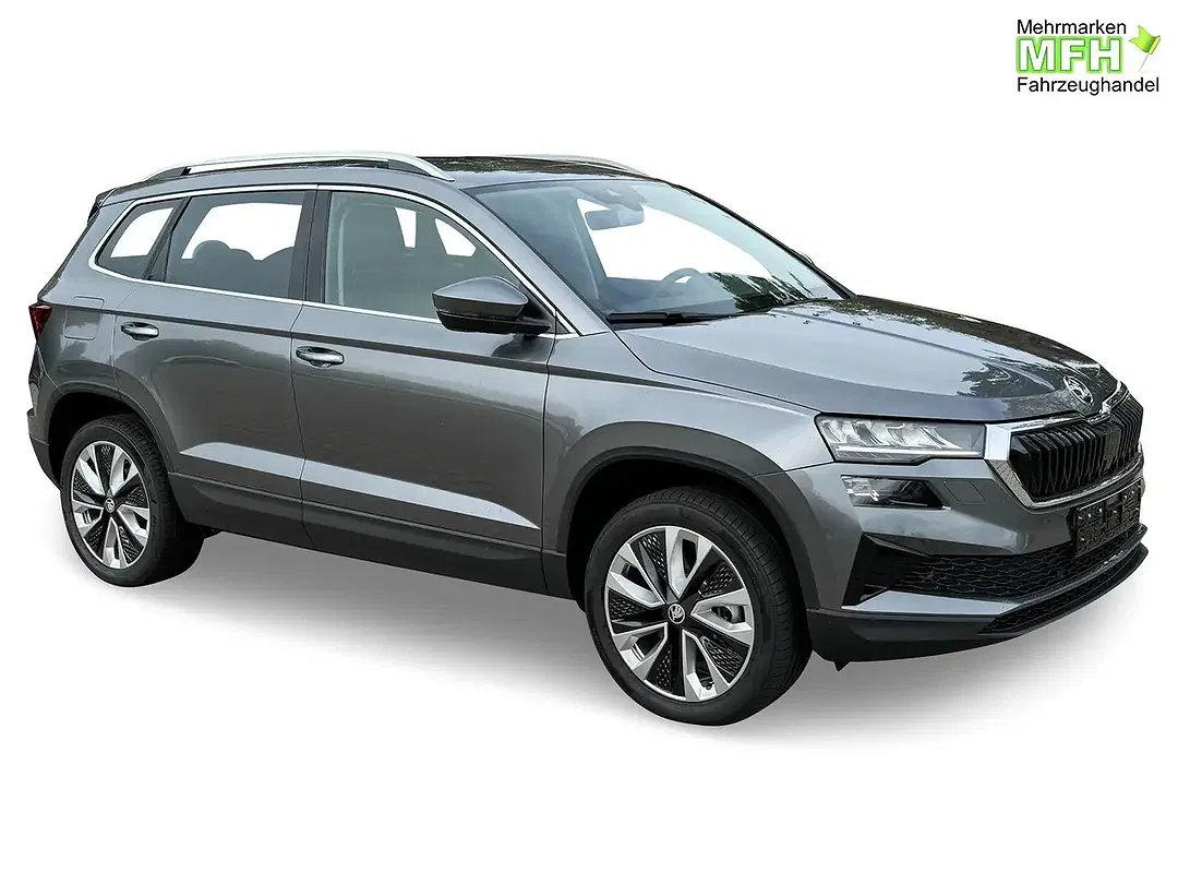 Skoda Karoq - Thumbnail 6