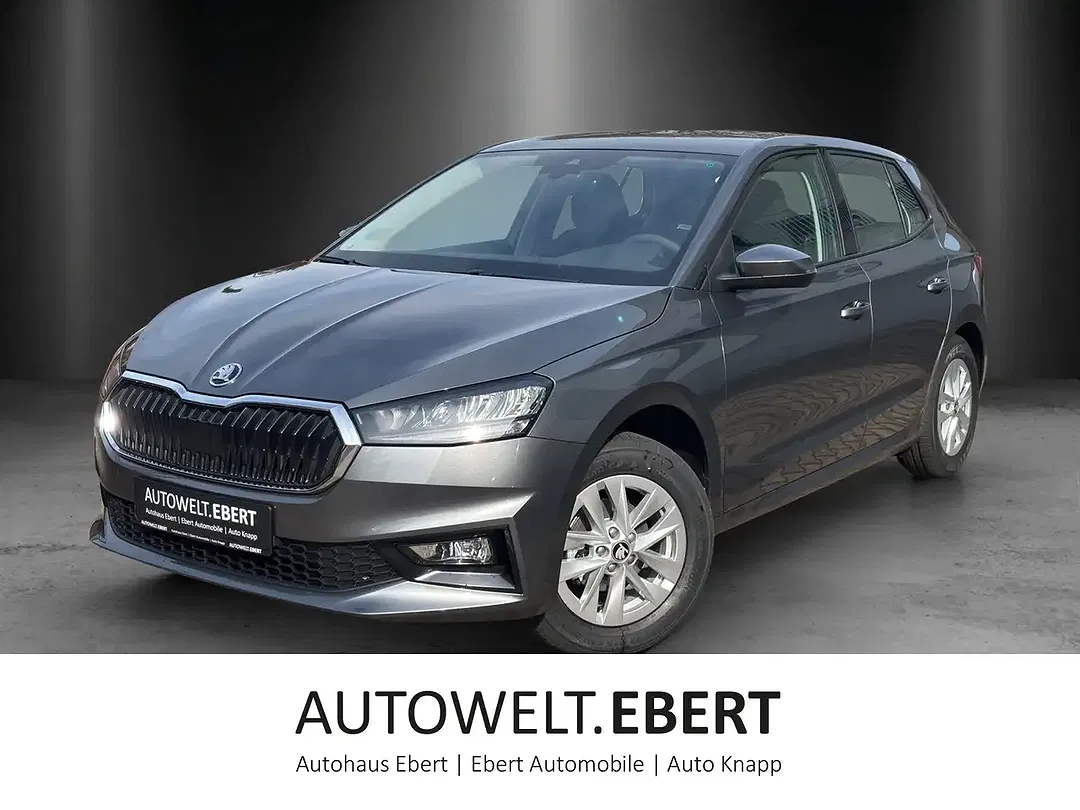Skoda Fabia - Thumbnail 1
