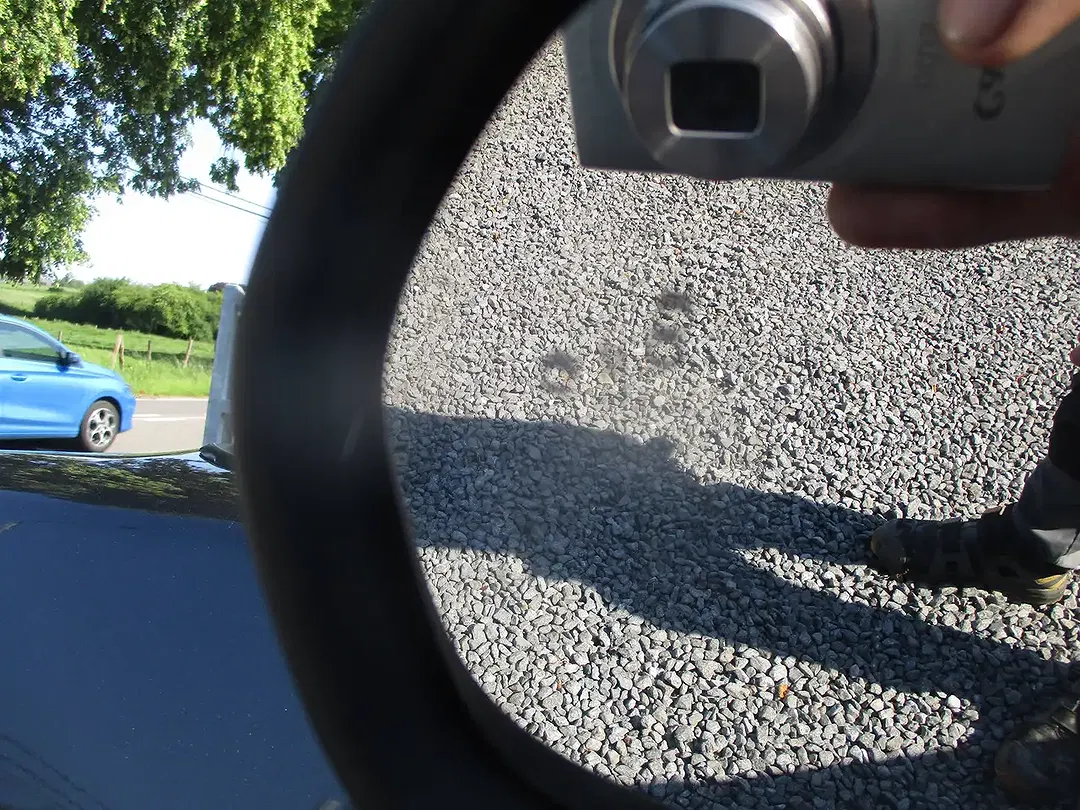 Ford Puma - Thumbnail 23