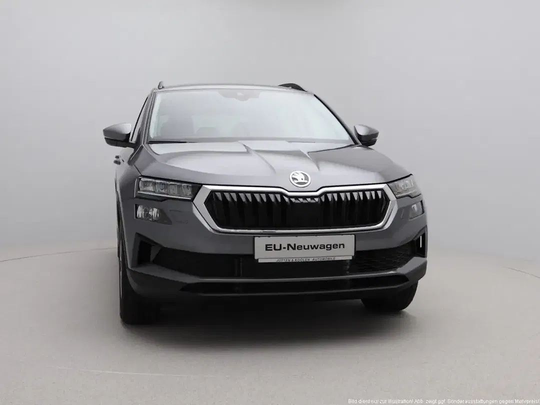 Skoda Karoq - Thumbnail 11