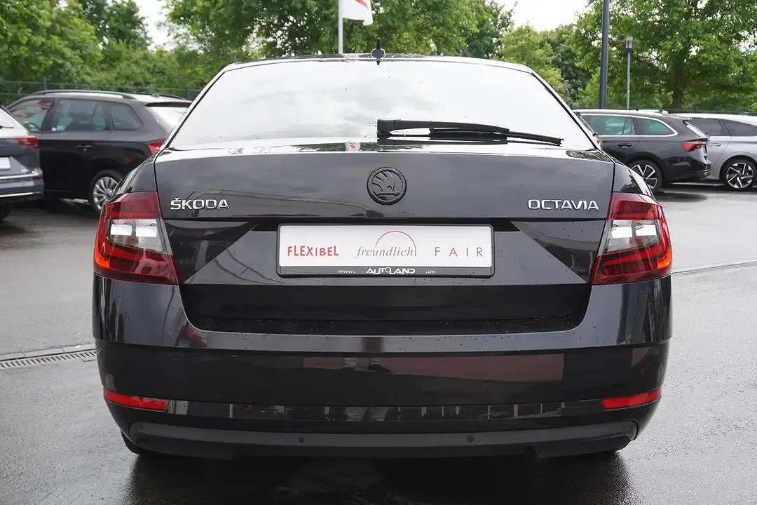 Skoda Octavia - Thumbnail 5