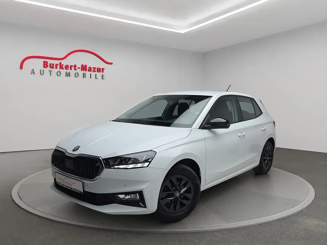 Skoda Fabia - Afbeelding 1