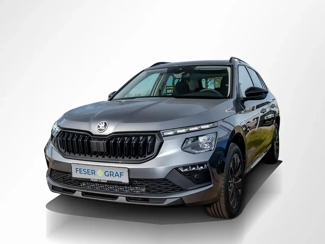 Skoda Kamiq - Thumbnail 10