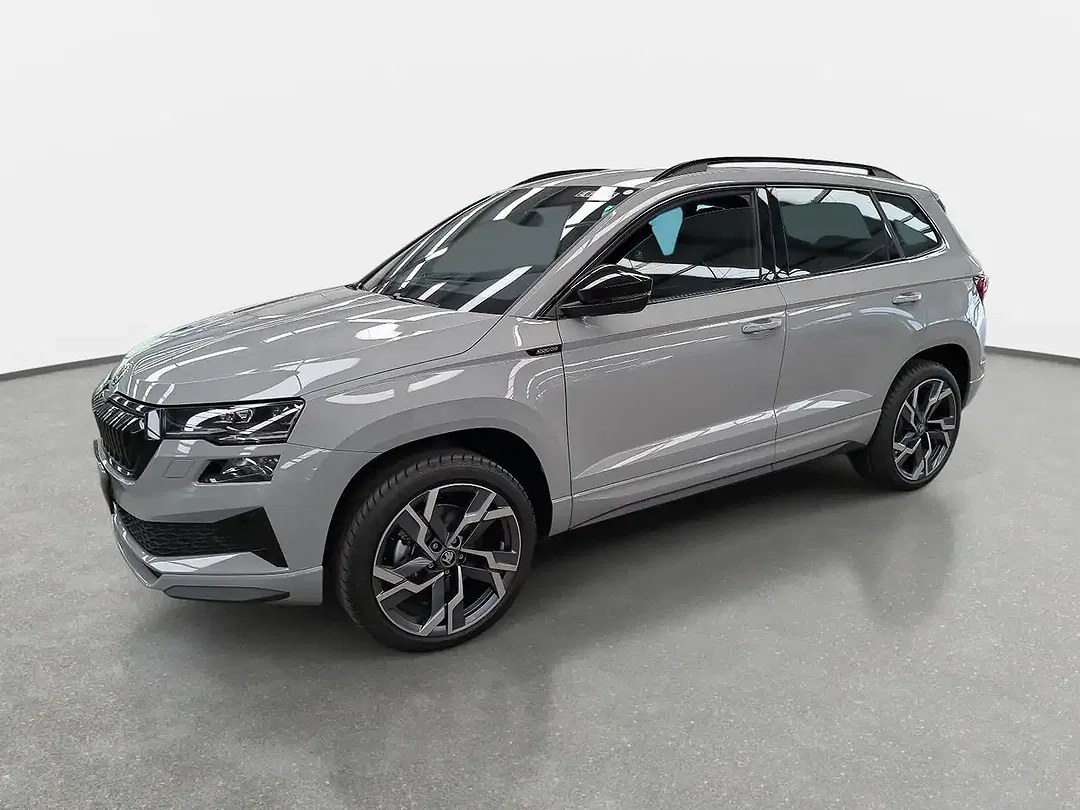 Skoda Karoq - Thumbnail 1
