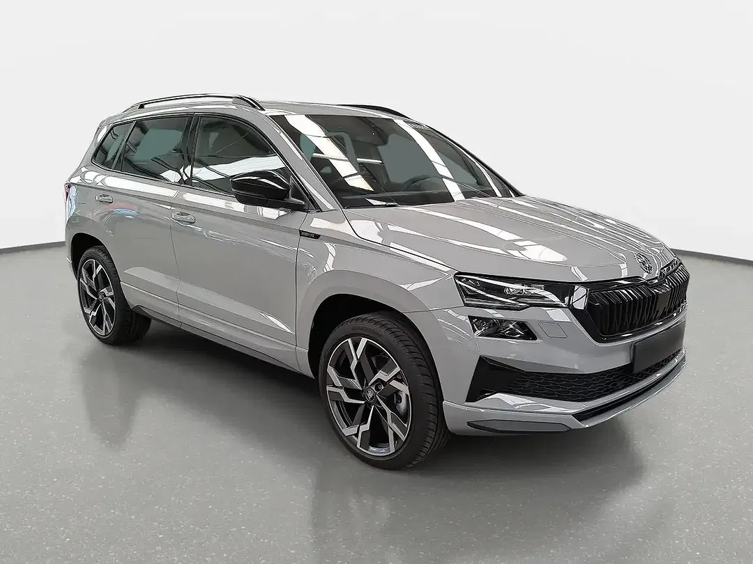 Skoda Karoq - Thumbnail 2