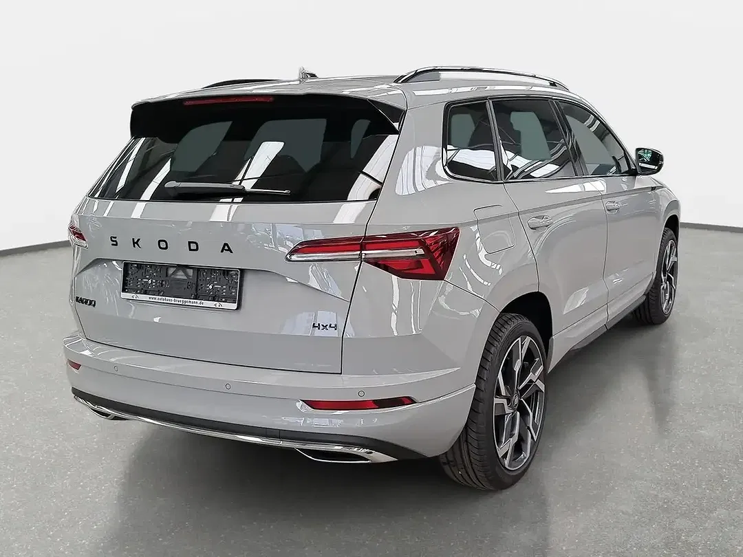 Skoda Karoq - Thumbnail 3