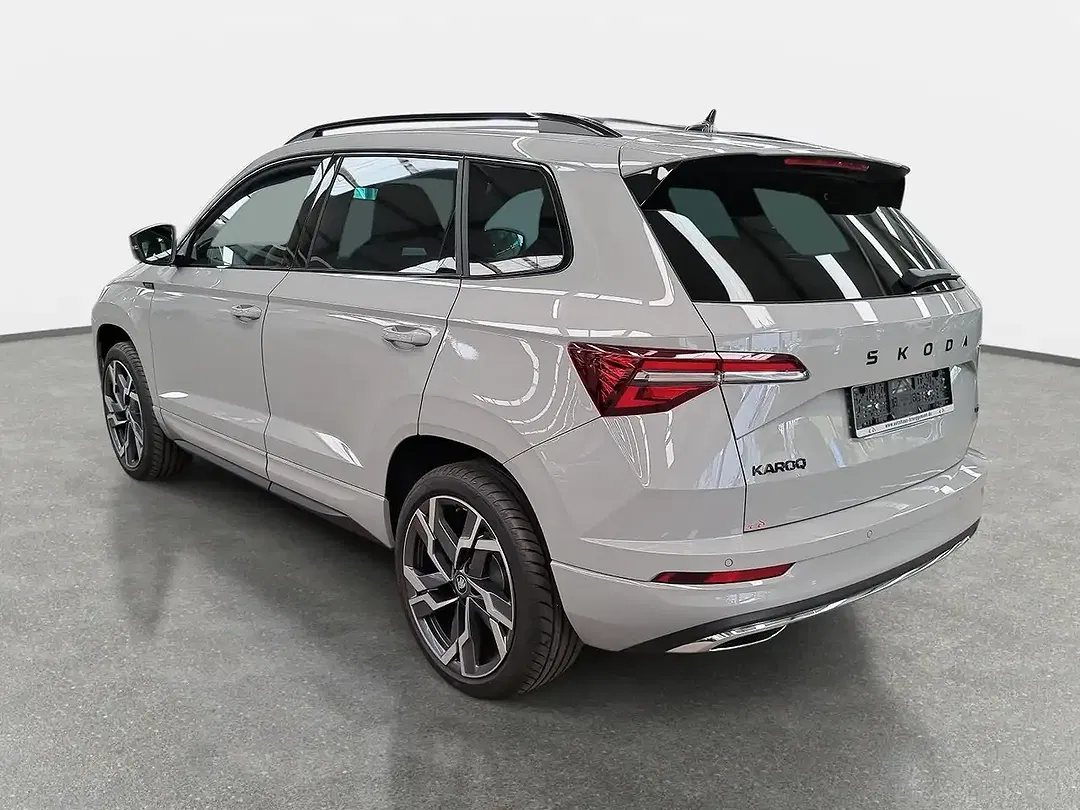 Skoda Karoq - Thumbnail 4