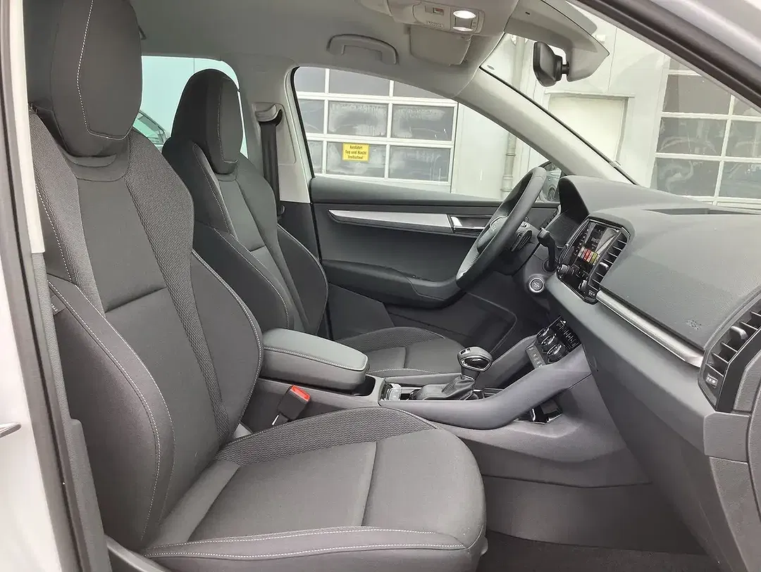 Skoda Karoq - Thumbnail 11