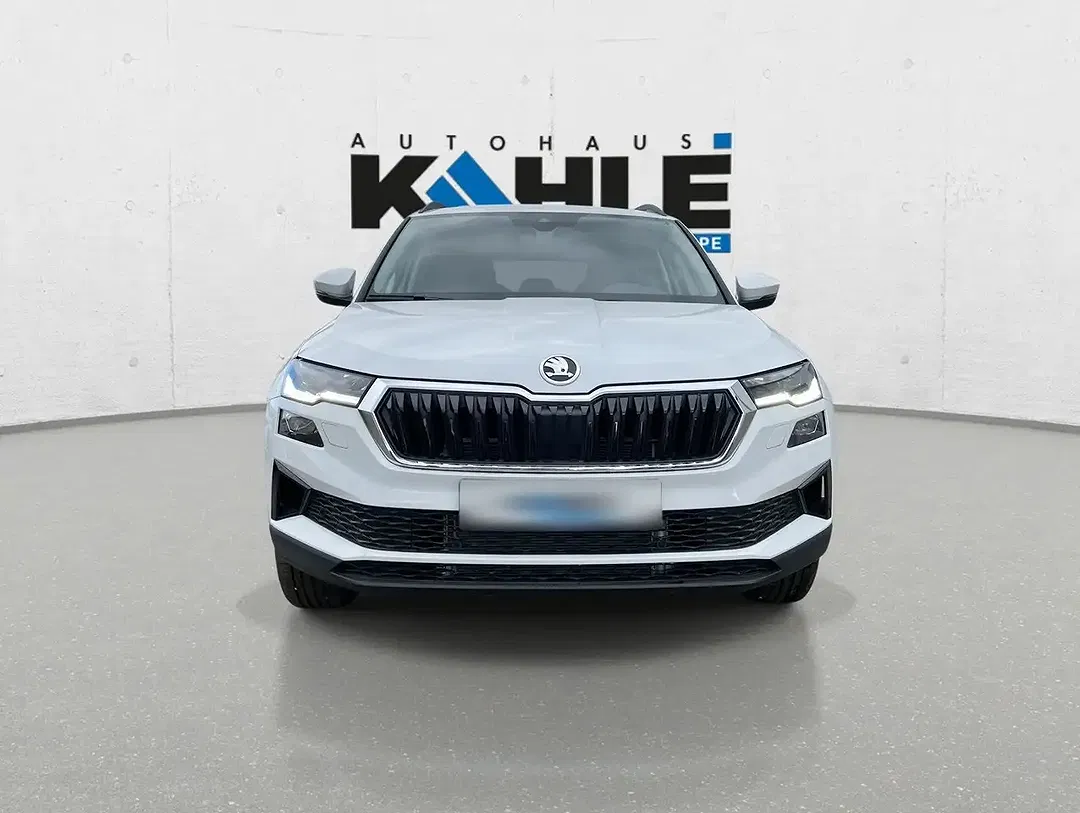 Skoda Karoq - Thumbnail 4