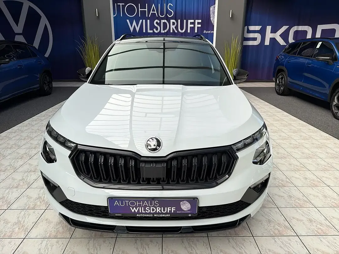 Skoda Kamiq - Thumbnail 3