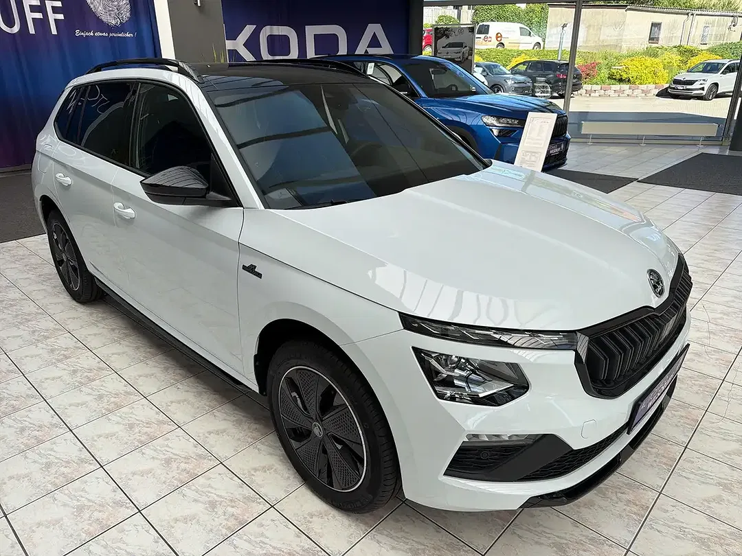 Skoda Kamiq - Thumbnail 4
