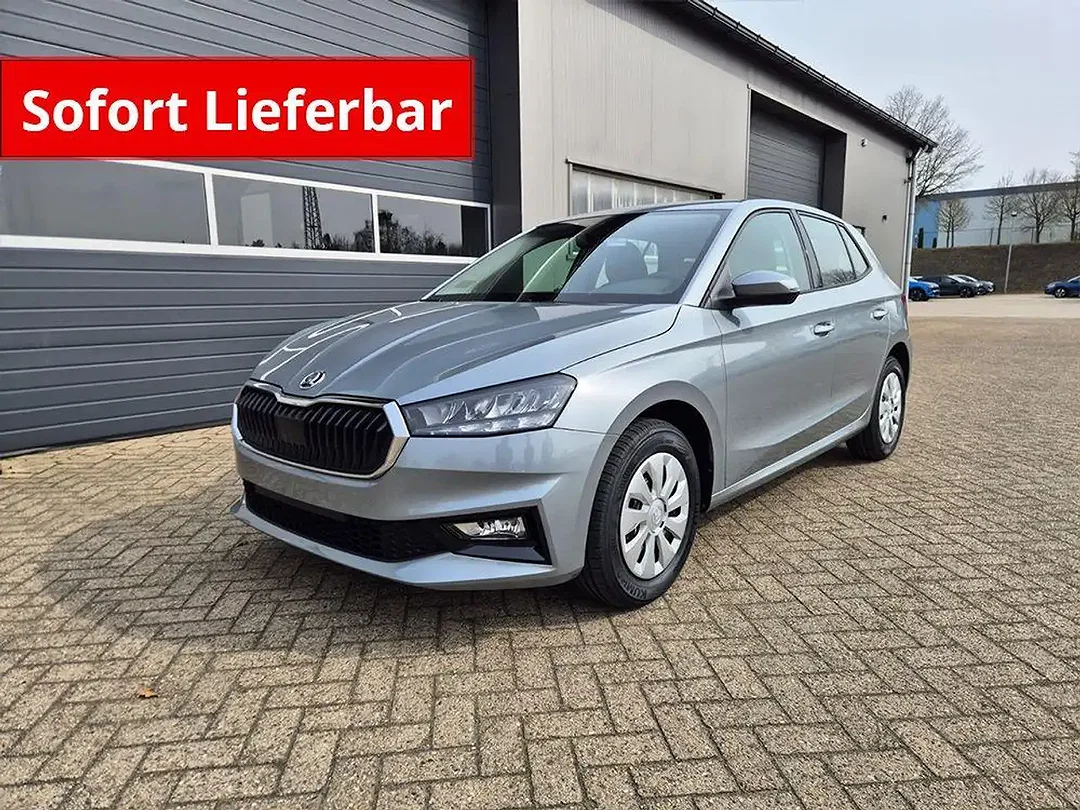 Skoda Fabia - Afbeelding 1