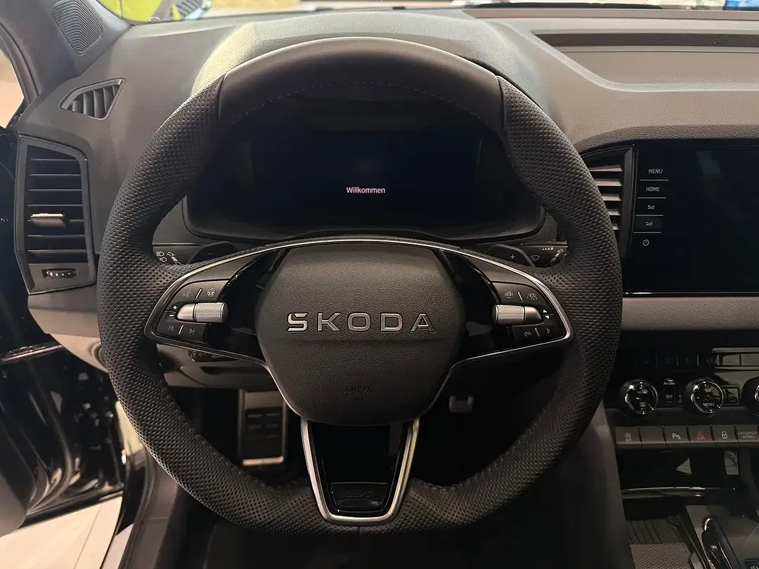 Skoda Karoq - Thumbnail 12
