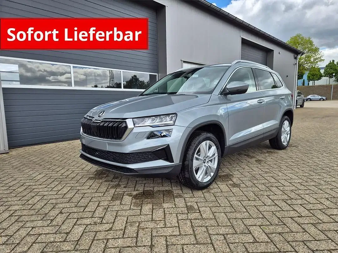 Skoda Karoq - Thumbnail 1