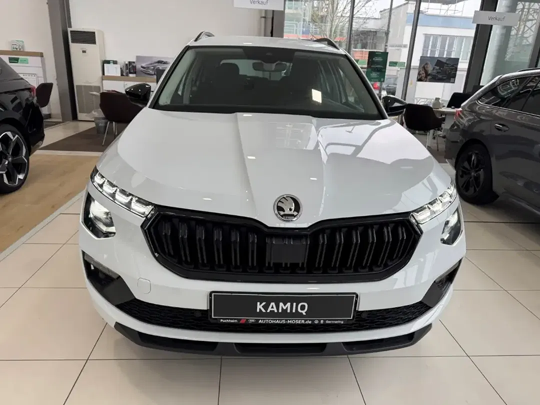 Skoda Kamiq - Thumbnail 2