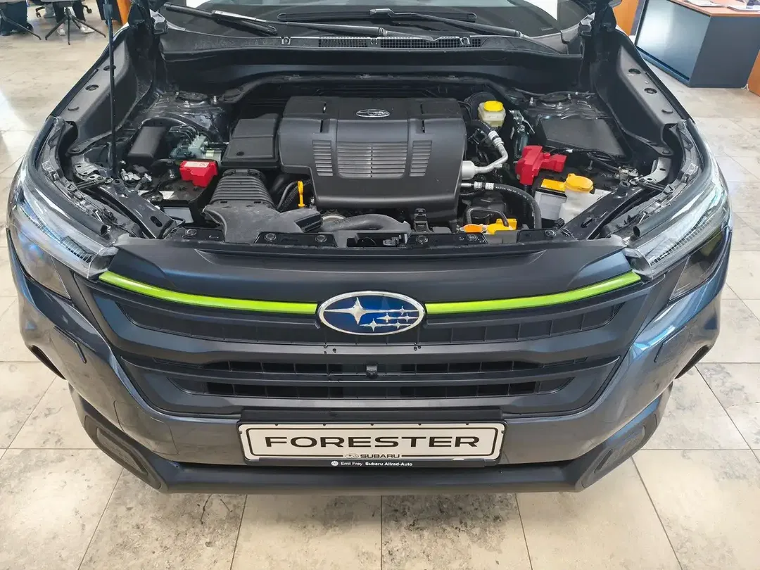 Subaru Forester - Thumbnail 15