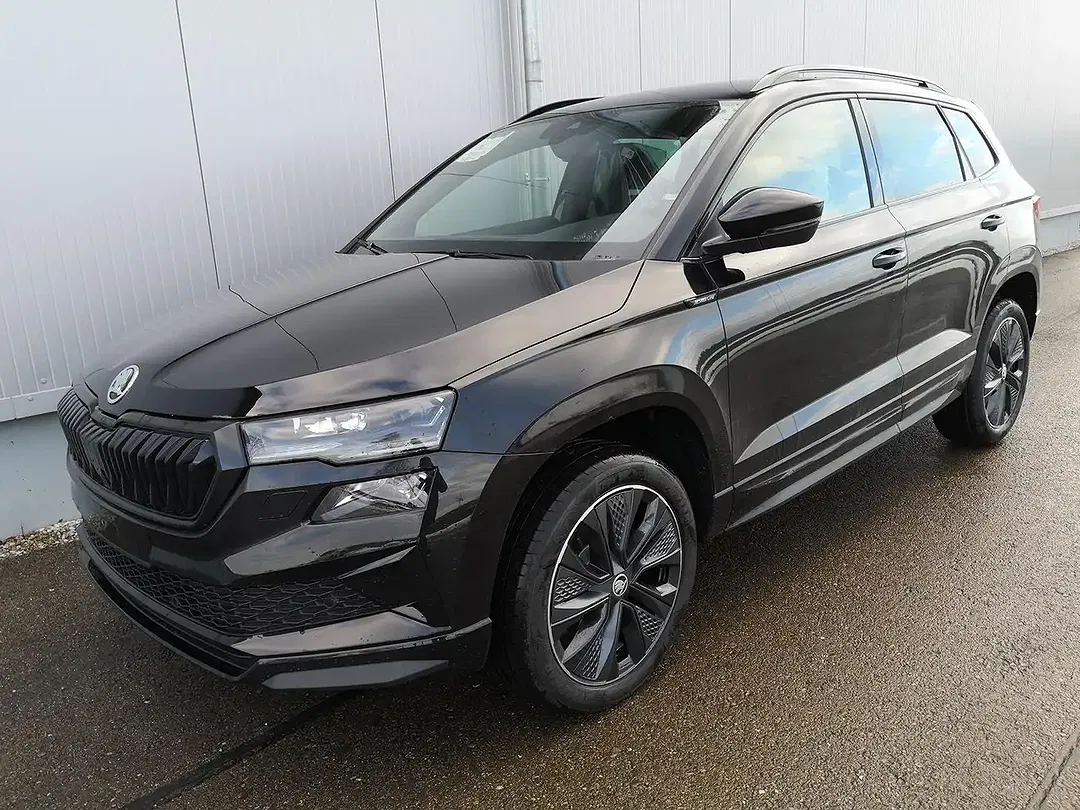 Skoda Karoq - Thumbnail 1