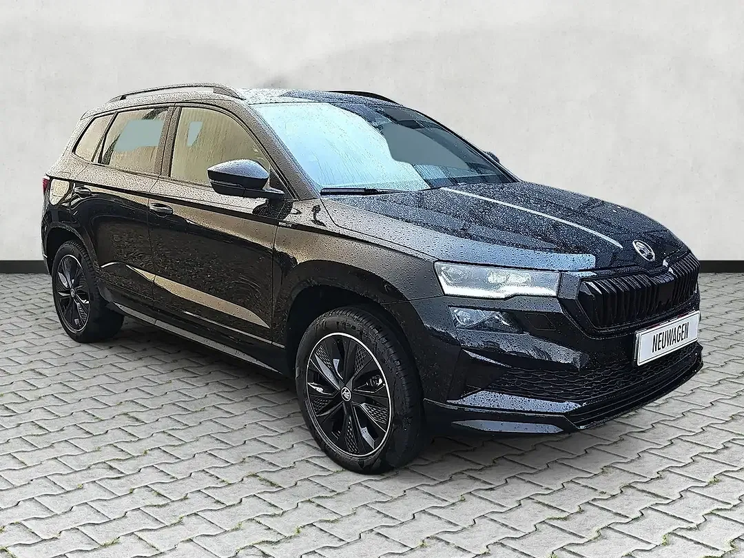 Skoda Karoq - Thumbnail 2