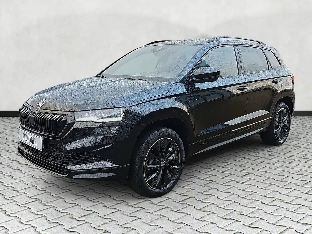 Skoda Karoq - Thumbnail 4