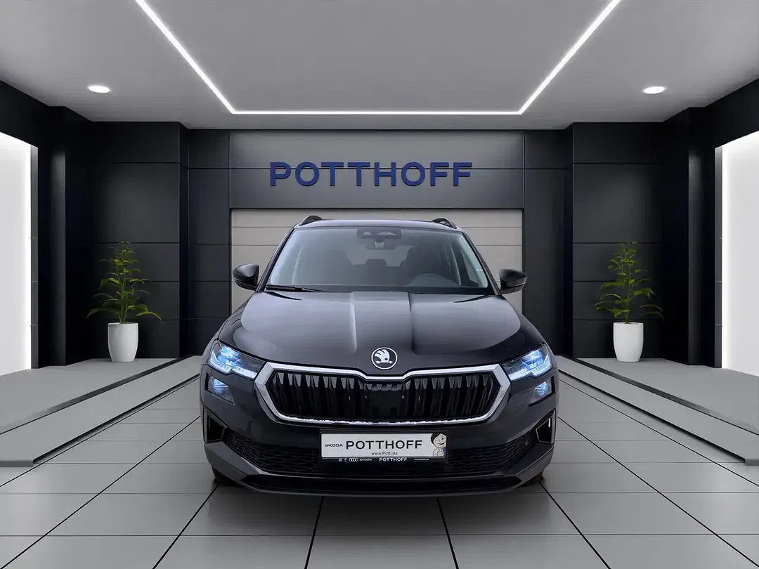 Skoda Karoq - Thumbnail 8