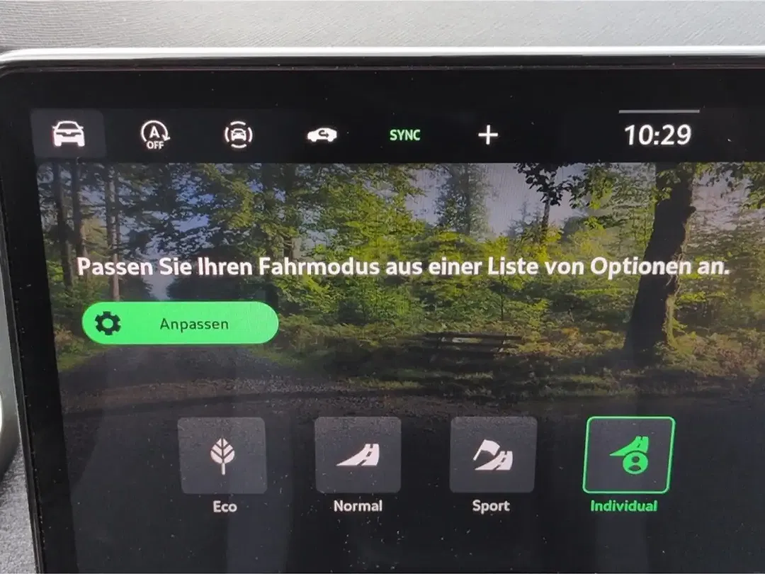 Skoda Octavia - Thumbnail 14