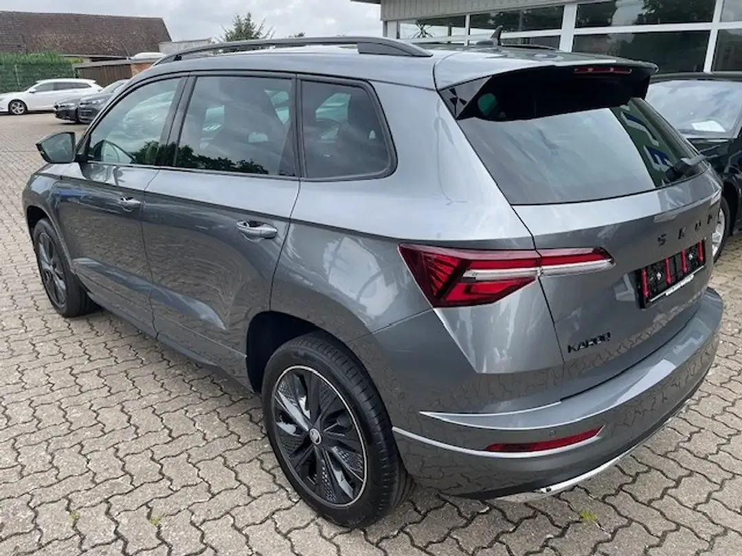Skoda Karoq - Thumbnail 11