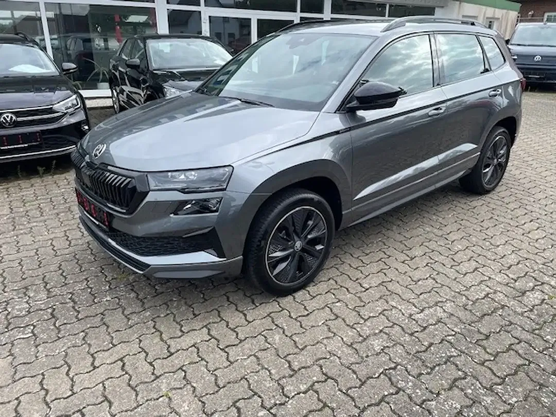 Skoda Karoq - Thumbnail 2