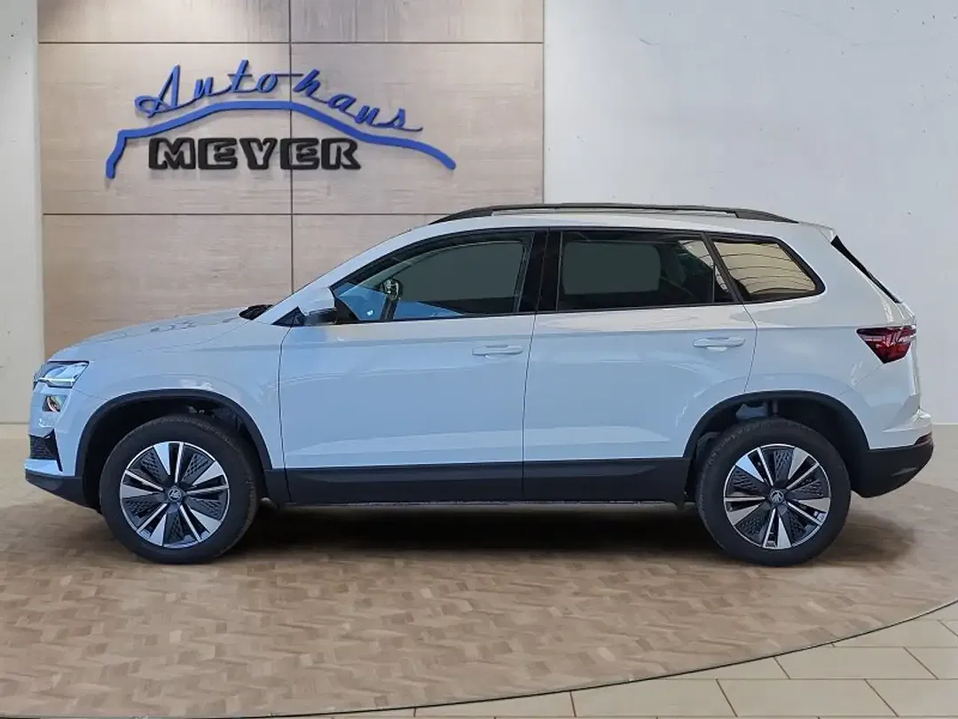 Skoda Karoq - Thumbnail 2