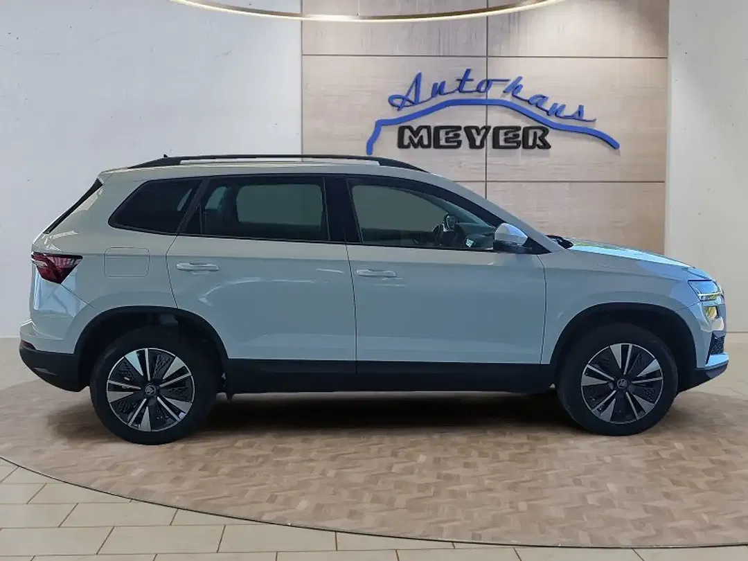 Skoda Karoq - Thumbnail 6