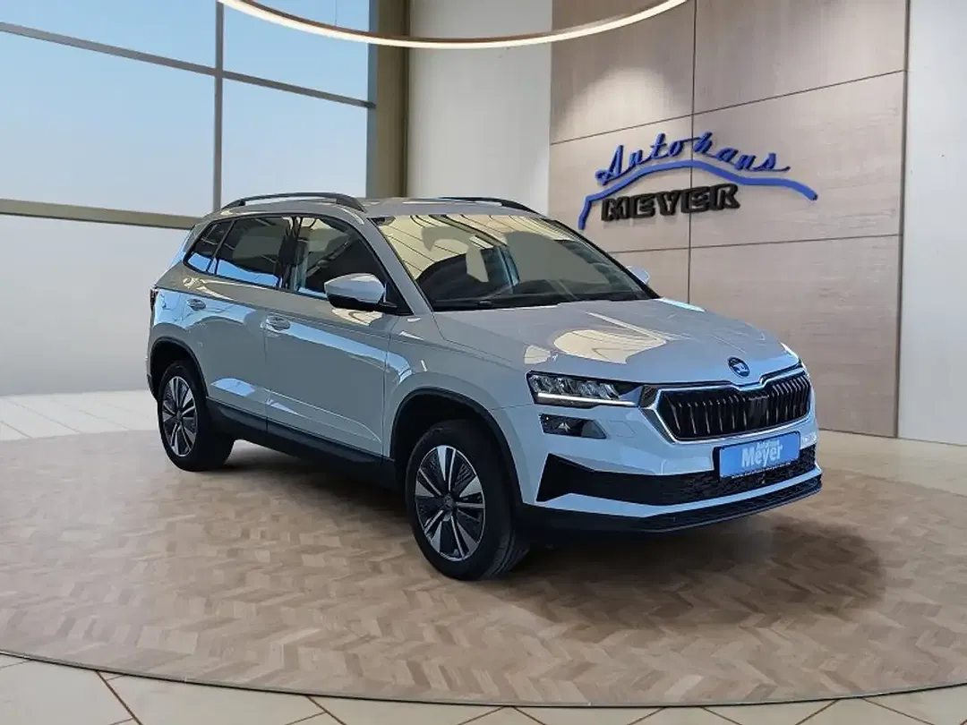 Skoda Karoq - Thumbnail 7