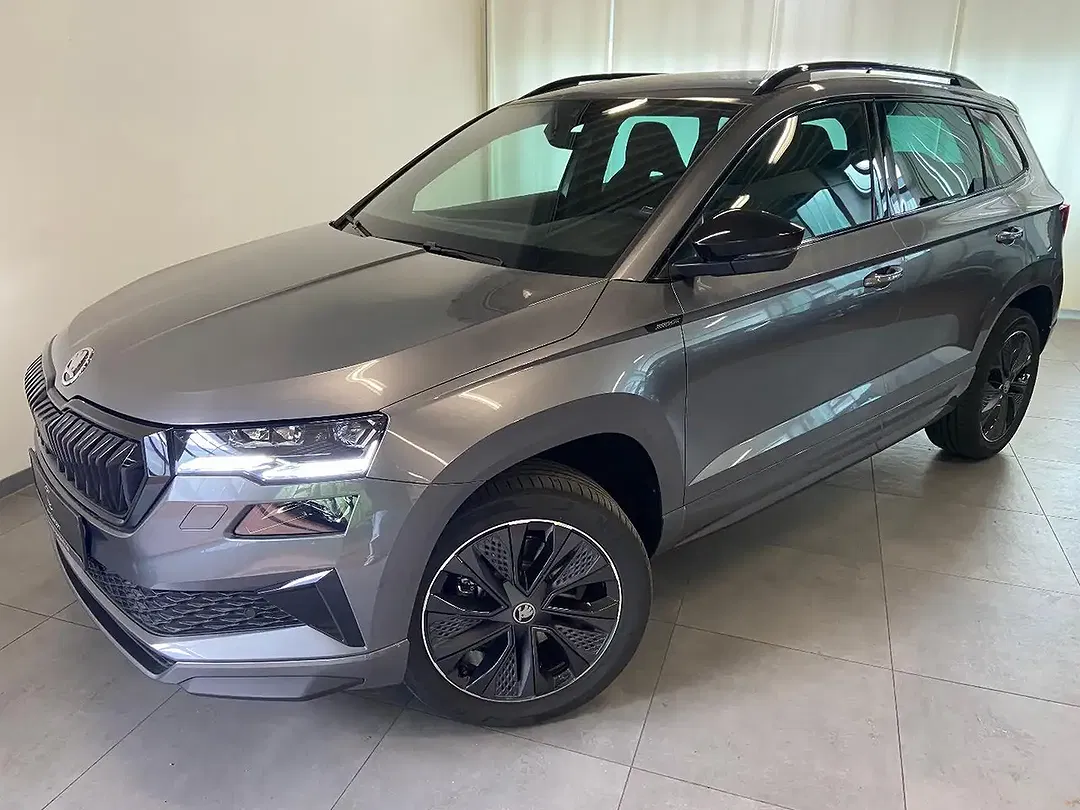 Skoda Karoq - Thumbnail 1